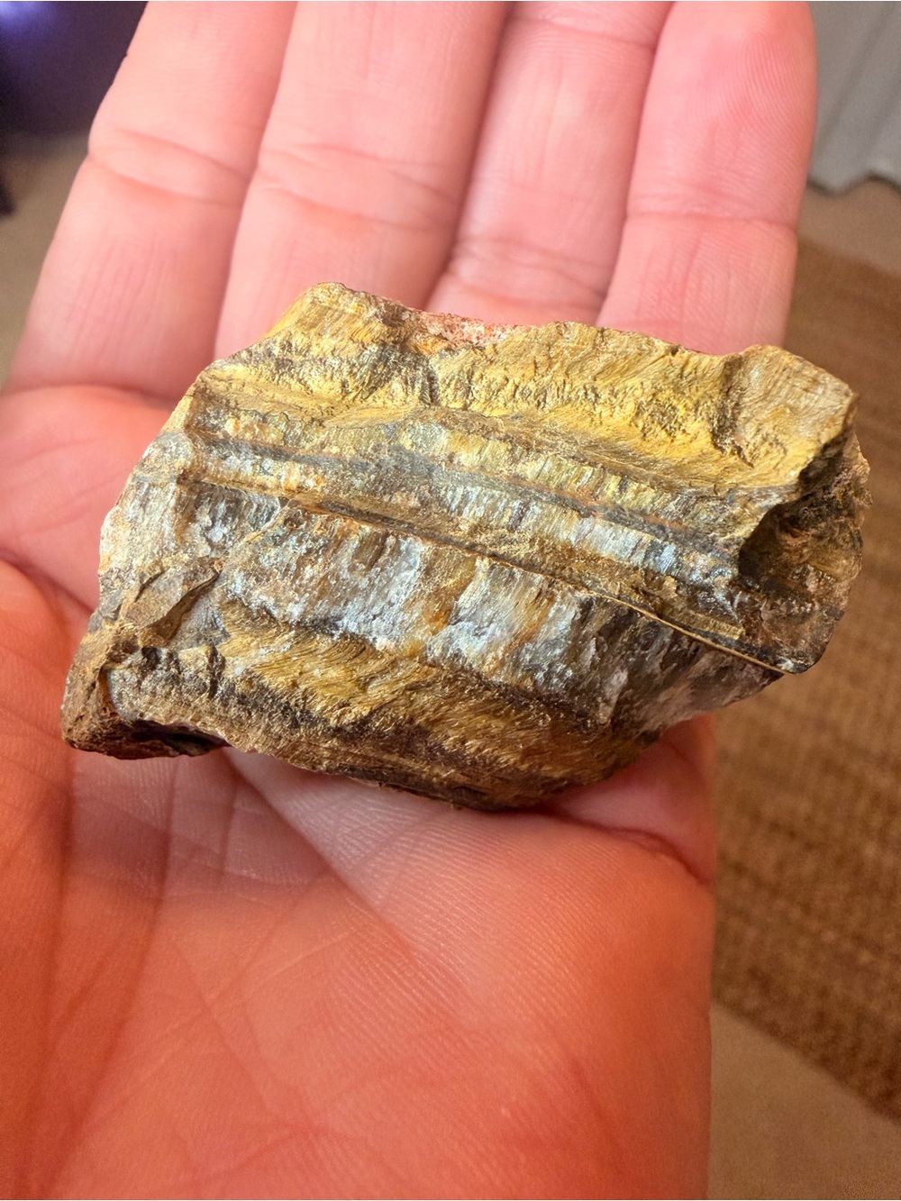 Raw Tiger’s Eye Rough Stone Golden Banded Lapidary Specimen 2”